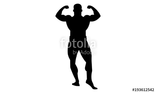 500x300 Male Bodybuilding Silhouette Image Looks From The Front Stock