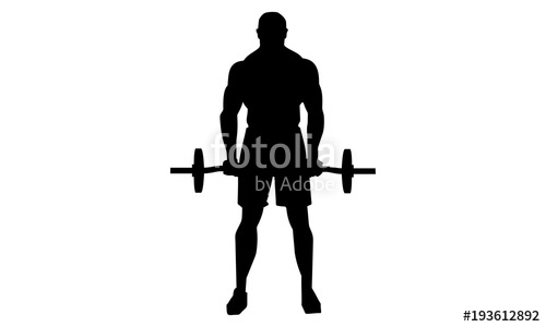 500x300 Vector Image Of Bodybuilding Silhouette Is Lifting