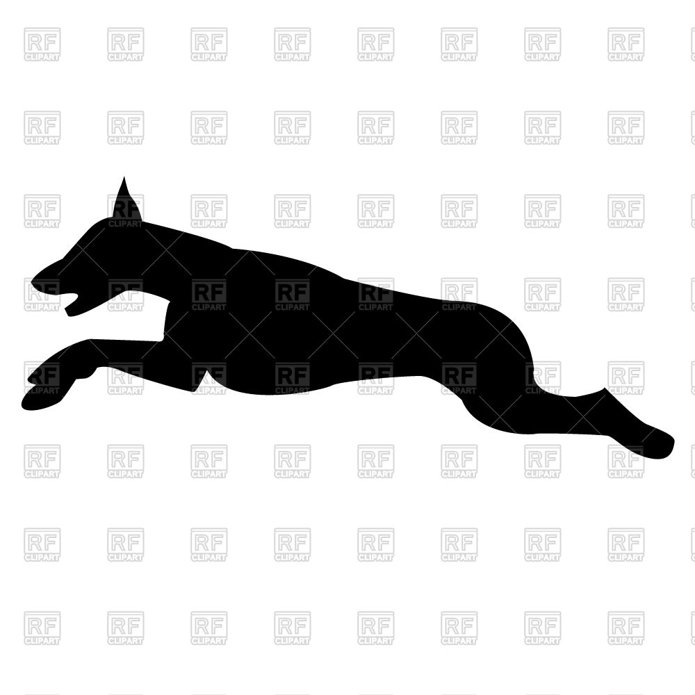 1000x1000 Silhouette Of Jumping Dog