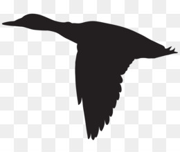 260x220 Free Download Paper Black And White Pattern