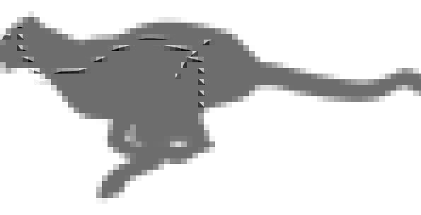 595x304 Cheetah, Physical, Fast, Debauched, Animal, Silhouette, Run, Track