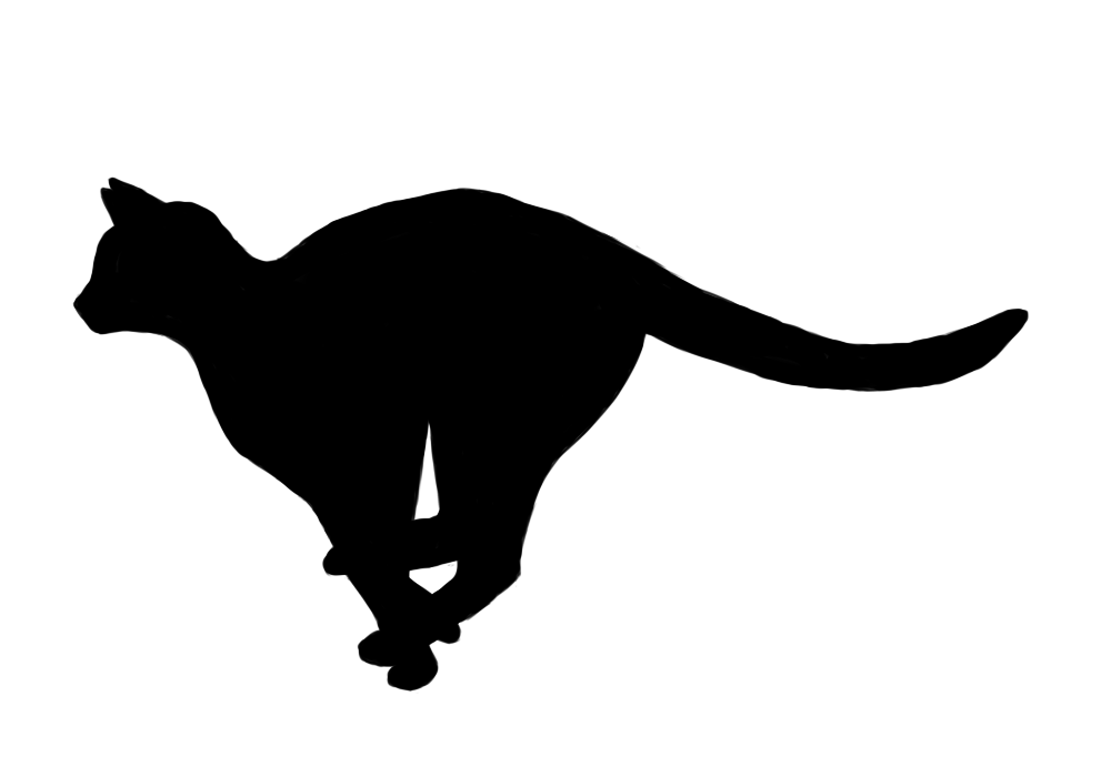 1000x700 Cat Running 2 By Rangerdoe