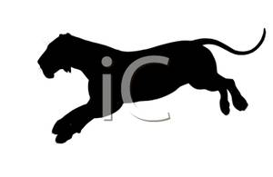 300x195 Of A Running Tiger