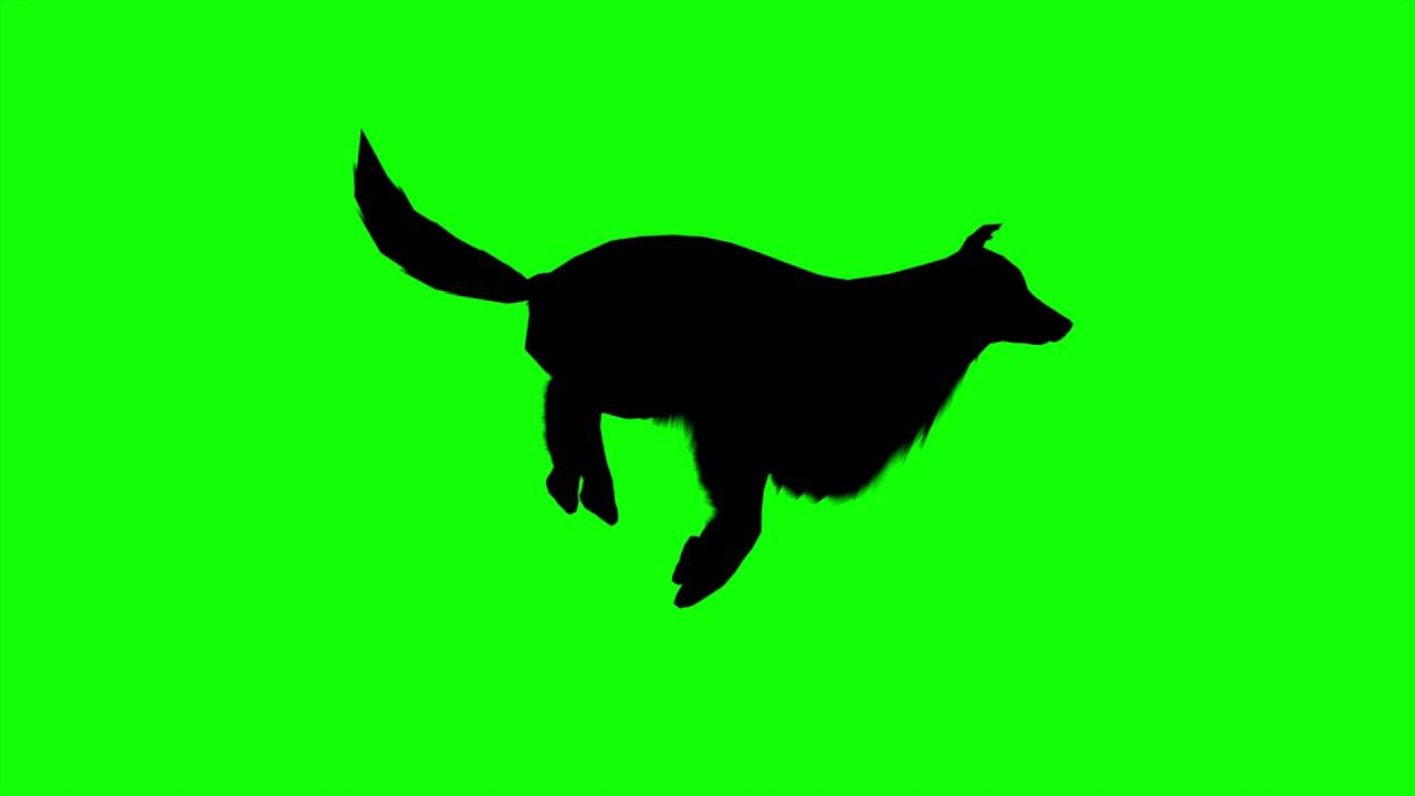 1280x720 Free Hd Video Backgrounds