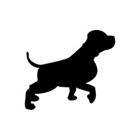 200x200 Shape Shapes Dog Dogs Mammal Mammals Animal Animals Pet Pets