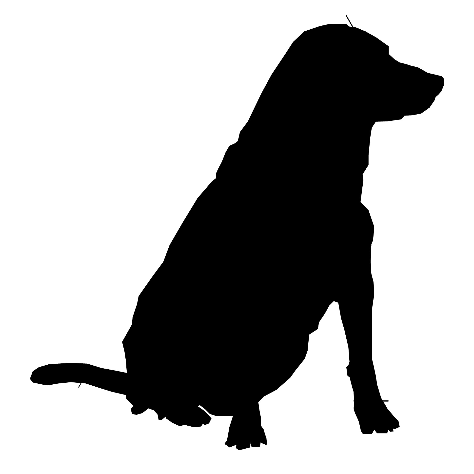 1920x1920 Dog Silhouette Drawing 01 Free Stock Photo