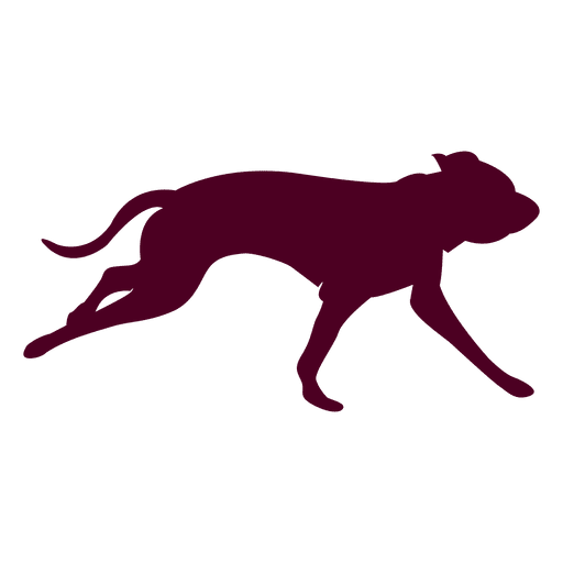 512x512 Dog Running Sequence 2