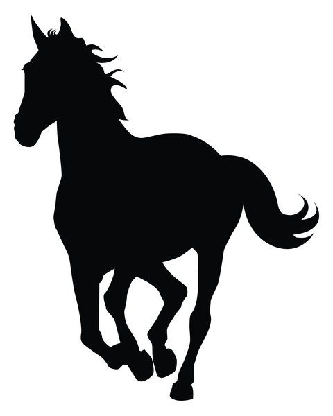 480x600 Running%20horse%20silhouette%20vector Projects To Try