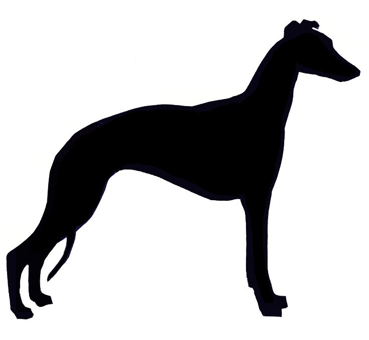 735x676 Greyhound Clipart Whippet