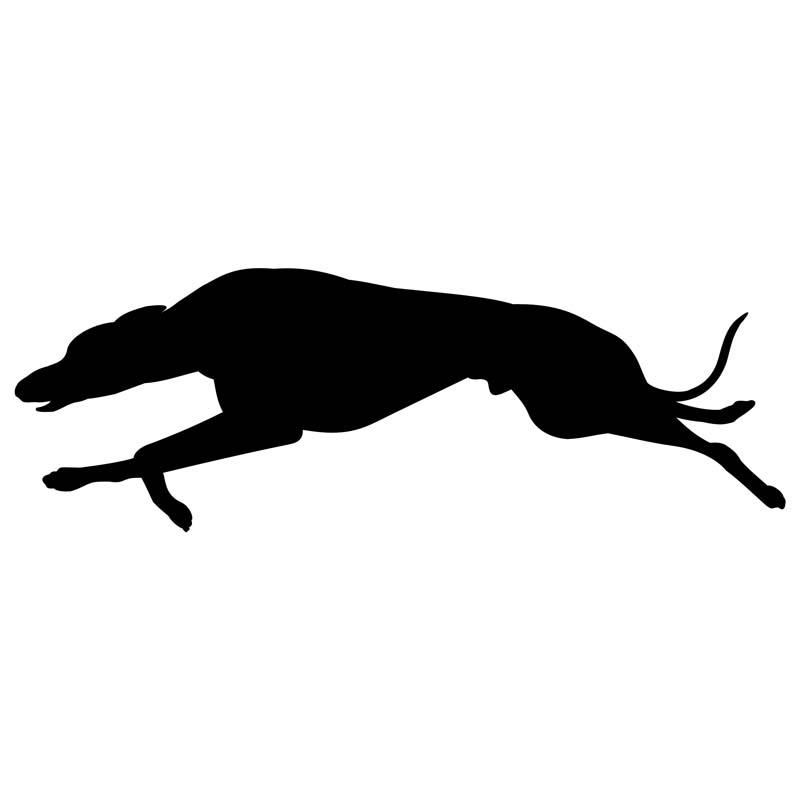 800x800 Sofa Dog Wear