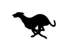 225x173 Sheffield, Graphisme De 7 Greyhounds En Course M540 Tatts