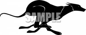 300x124 Silhouette Of Fast Running Greyhound