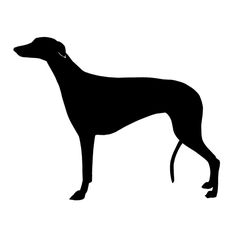 236x236 There Is 34 Greyhound Paw Print Free Cliparts All Used For Free