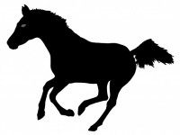 200x150 Running Horse Silhouette Free Stock Photo