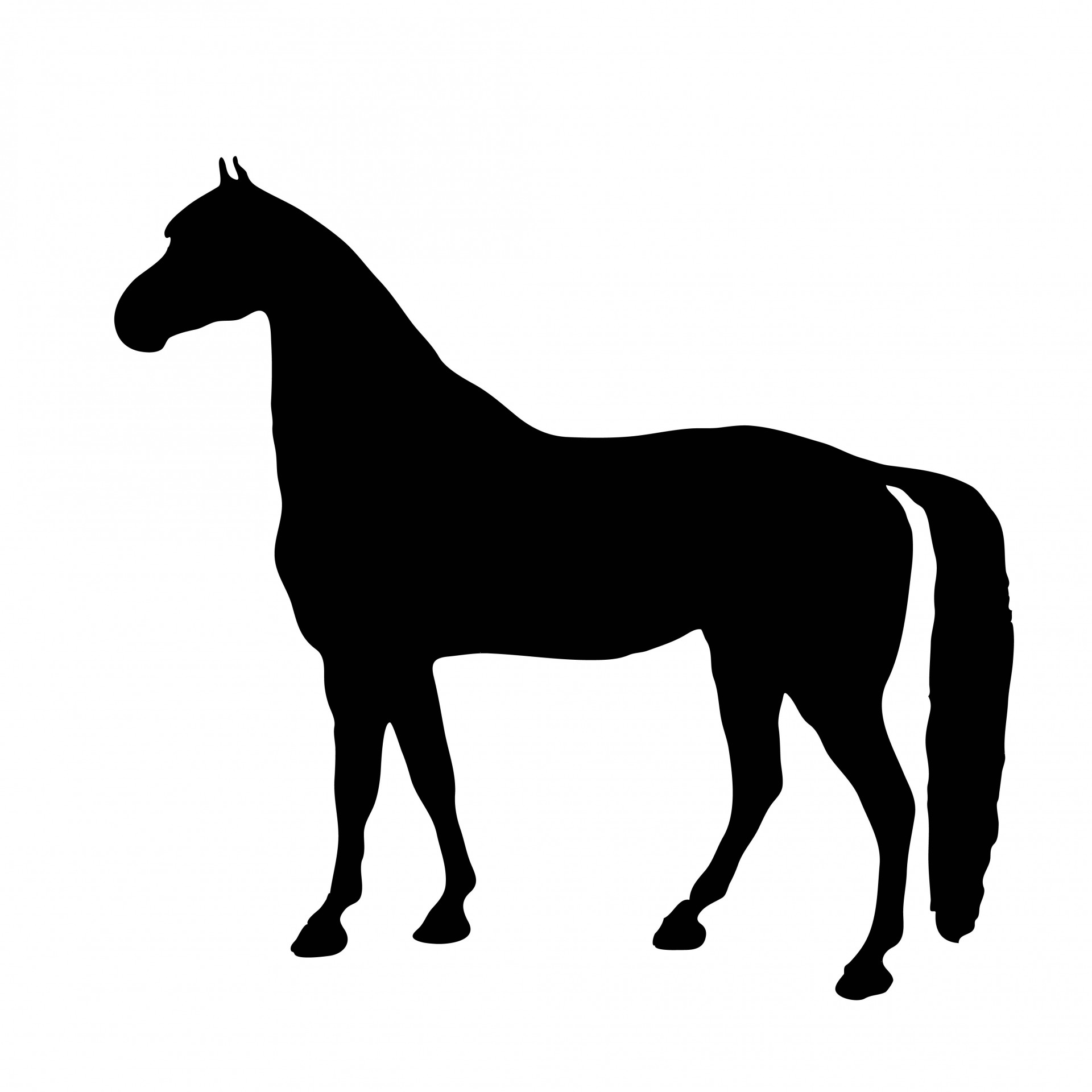 1920x1920 List Of Synonyms And Antonyms Of The Word Horse Silhouette Clip Art