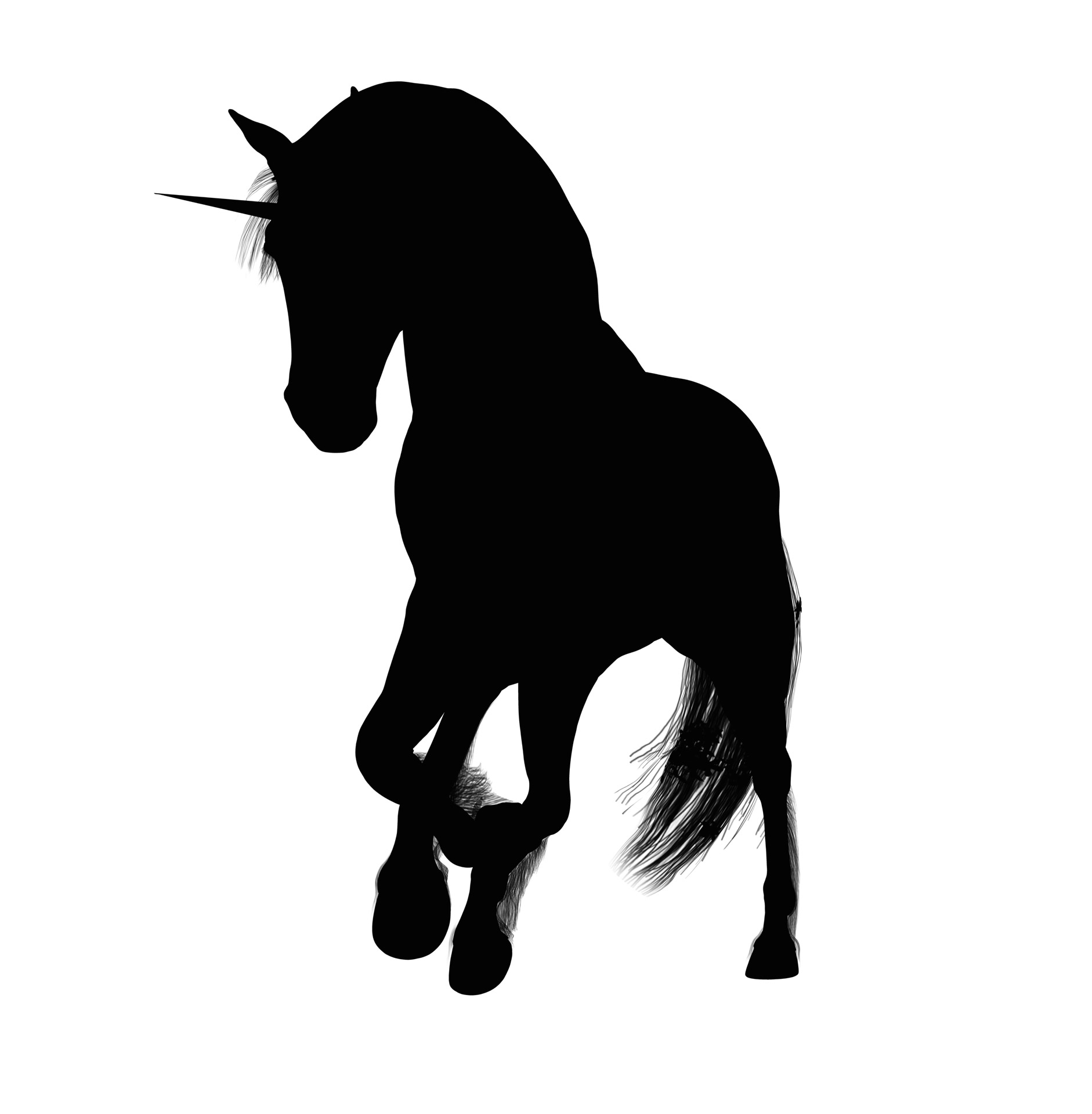 1882x1920 Horse Silhouette Free Stock Photo