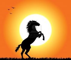 236x201 20170921 Horse Silhouette