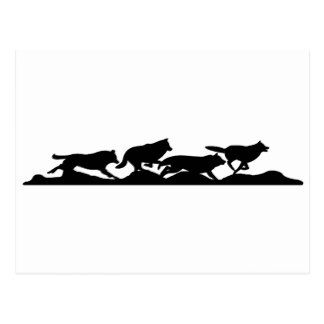 324x324 Running With Wolves Postcard Sign Wolf