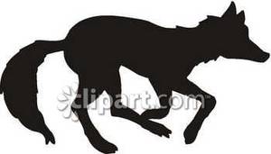 300x171 Of A Wolf Running