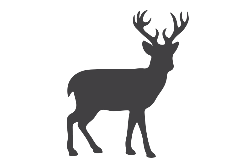 772x526 Reindeer Saddle Professional Secrets