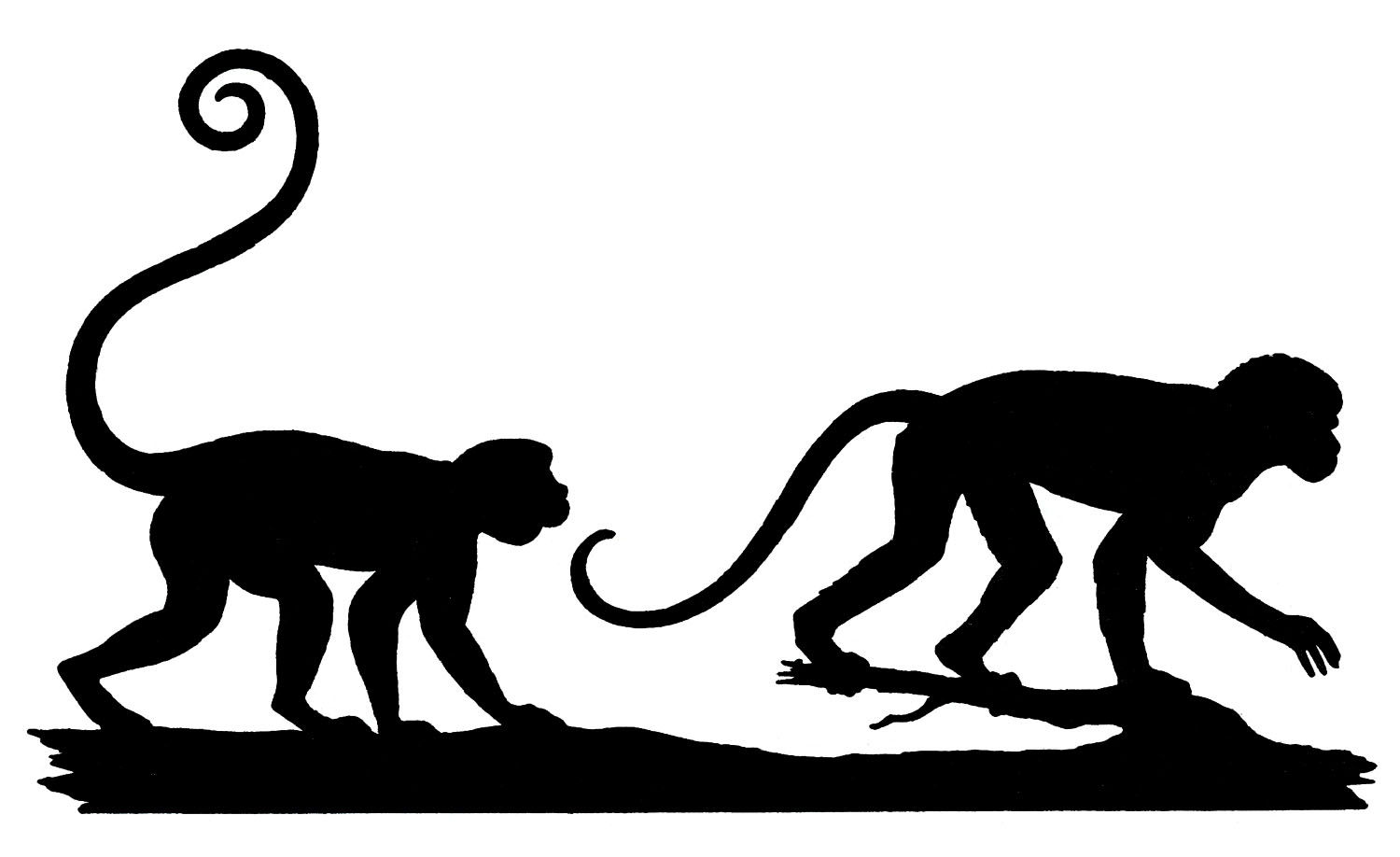 1500x918 Shadow Clipart Monkey