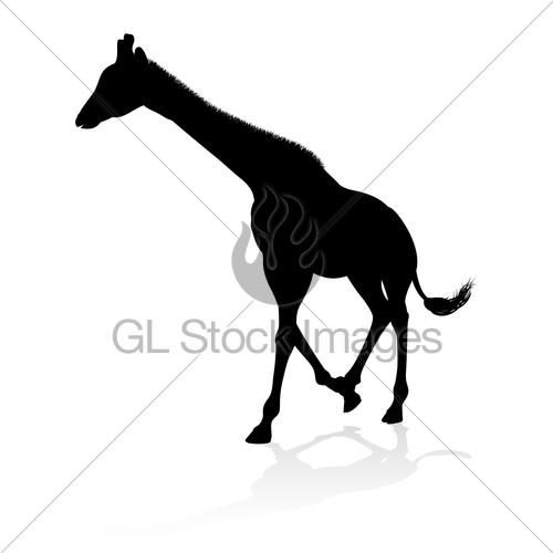 500x500 Giraffe Safari Animal Silhouette Gl Stock Images
