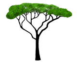 160x160 Safari 20clipart Clipart Panda