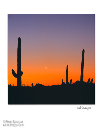 360x450 Winterbadger Collection Note Cards Moonrise