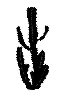 236x333 Arizona State Flower