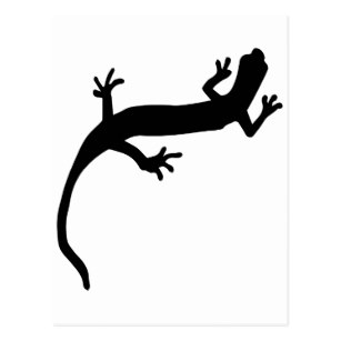 307x307 Salamander Silhouette Cards
