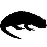 160x160 Salamander Silhouette Vector Graphics Stock Image And Royalty
