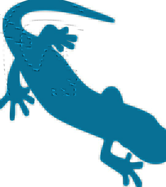 541x609 Saurian, Salamander, Amphibian, Gecko, Silhouette, Blue, Outline