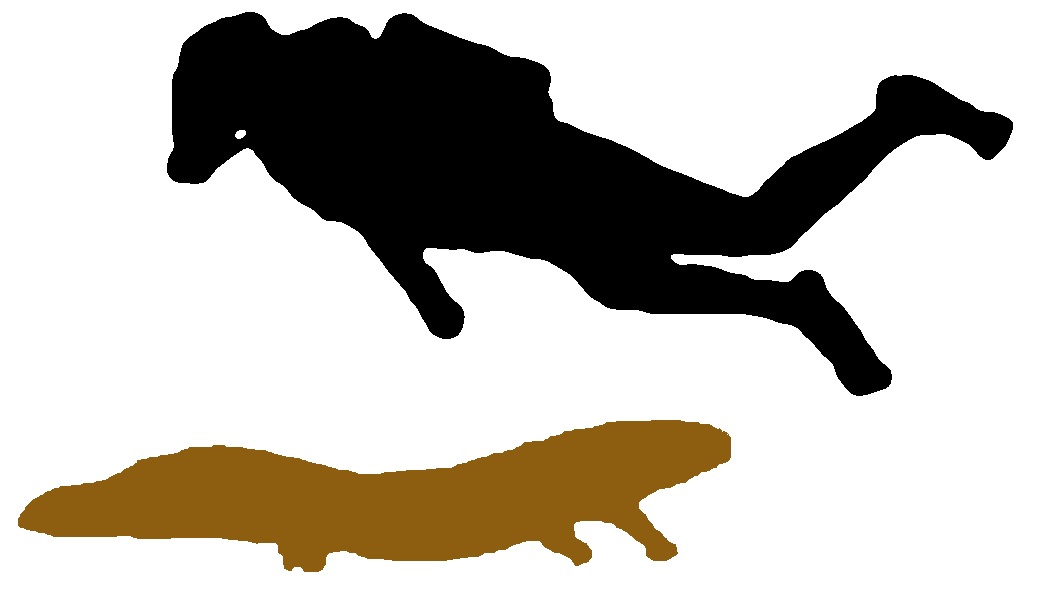 1041x612 Trinity Alps Giant Salamander Cryptid Wiki Fandom Powered By Wikia