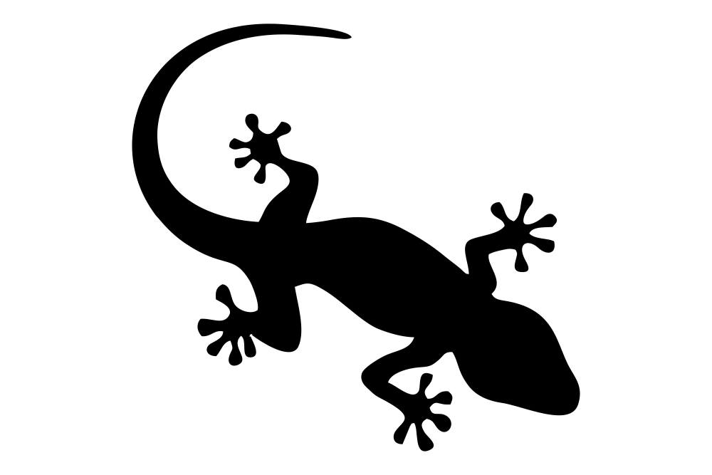 Salamander Silhouette at GetDrawings | Free download