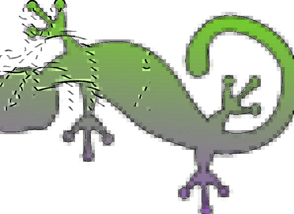 595x434 Gecko, Lizard, Salamander, Silhouette, Animal, Physical, Wild