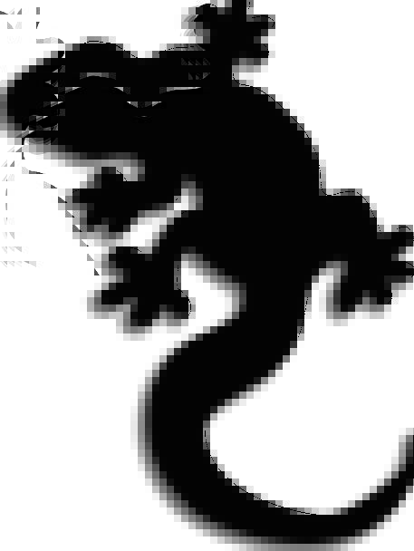 457x608 Lizard, Reptile, Gecko, Animal, Physical, Black, Silhouette, Dark