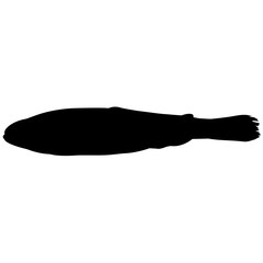240x240 Salmon Silhouette Vector Graphics