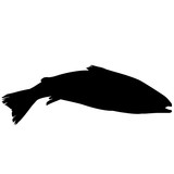 160x160 Salmon Silhouette Vector Graphics Stock Image And Royalty Free