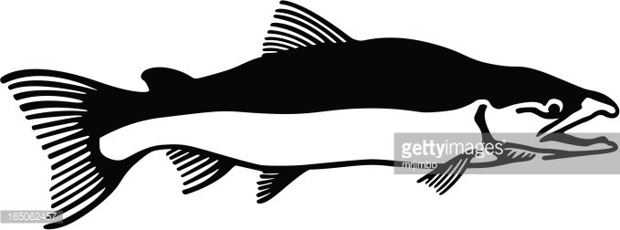 679x252 Salmon Premium Clipart
