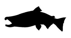 236x125 Salmon Silhouette Clip Art. Download Free Versions Of The Image