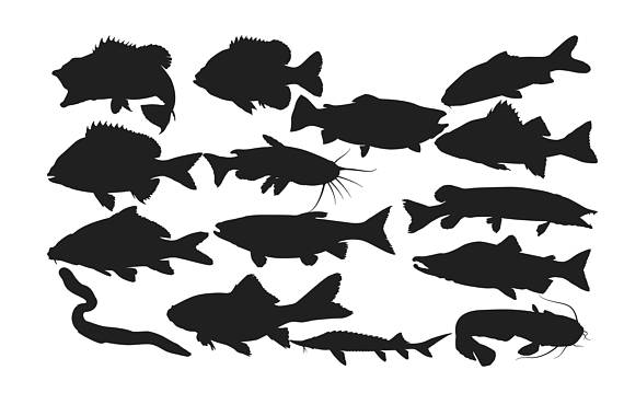 570x380 Fresh Water Fish Silhouette Fish Clipart Fish Silhouette
