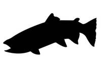 200x133 Fish Salmon Silhouette Laser Cut Appliques
