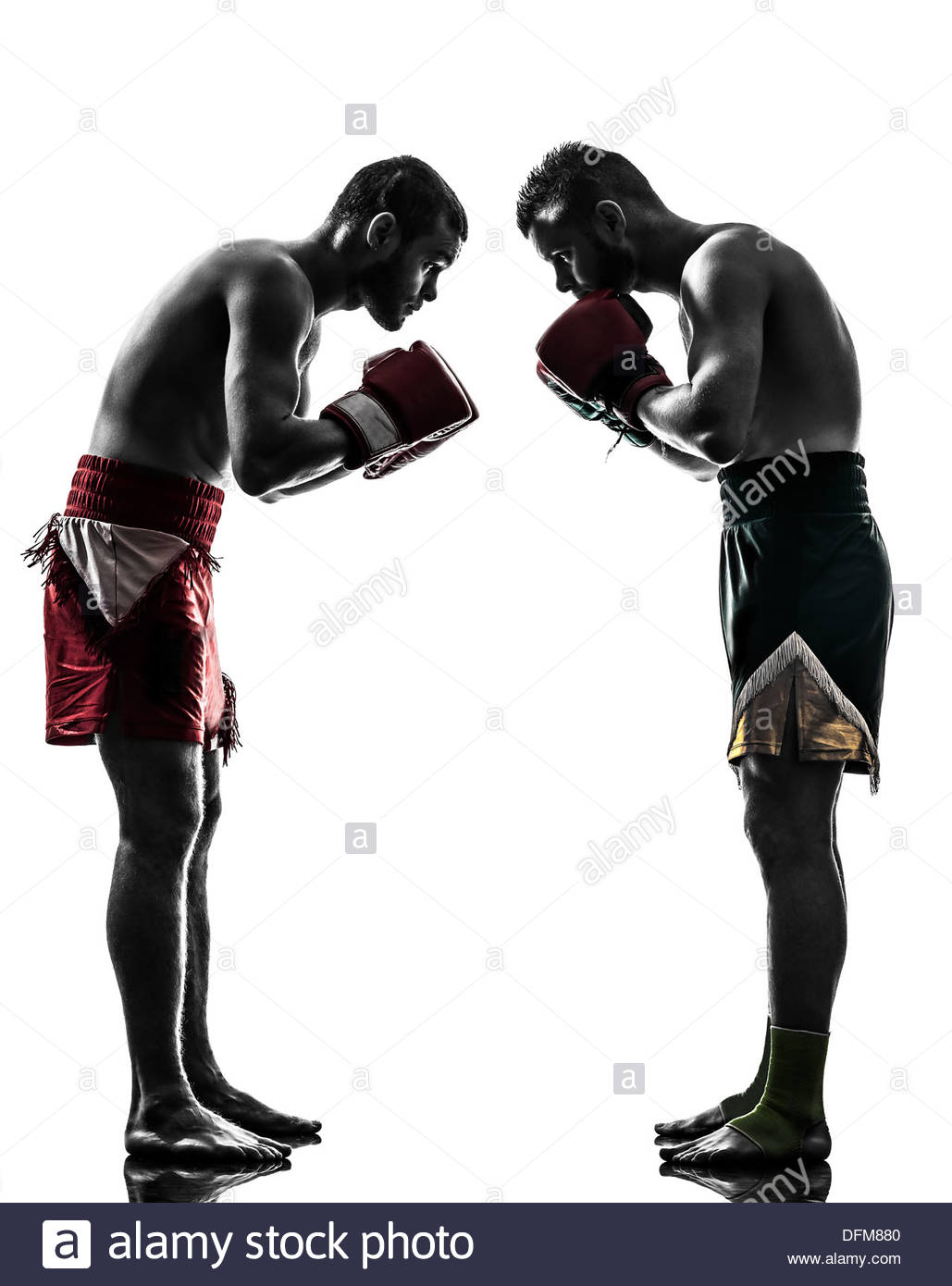 1029x1390 Saluting Cut Out Stock Images Amp Pictures