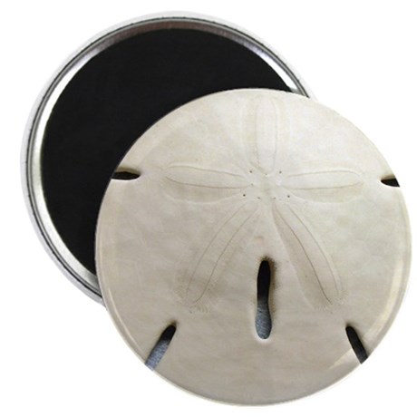 460x460 Sand Dollar Gifts