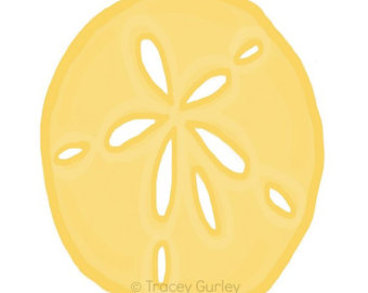 340x270 Sand Dollar Clipart Etsy