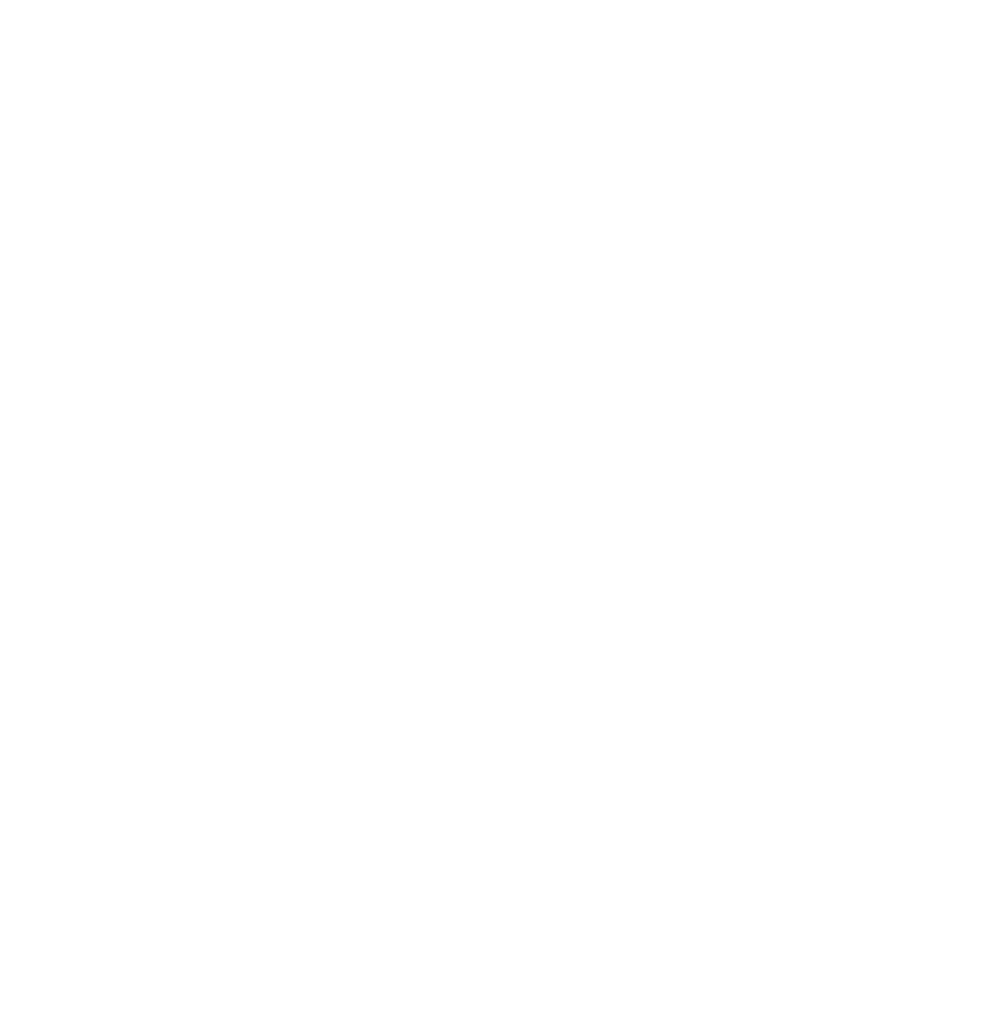 998x1024 Sand Dollar Silhouette By Paperlightbox