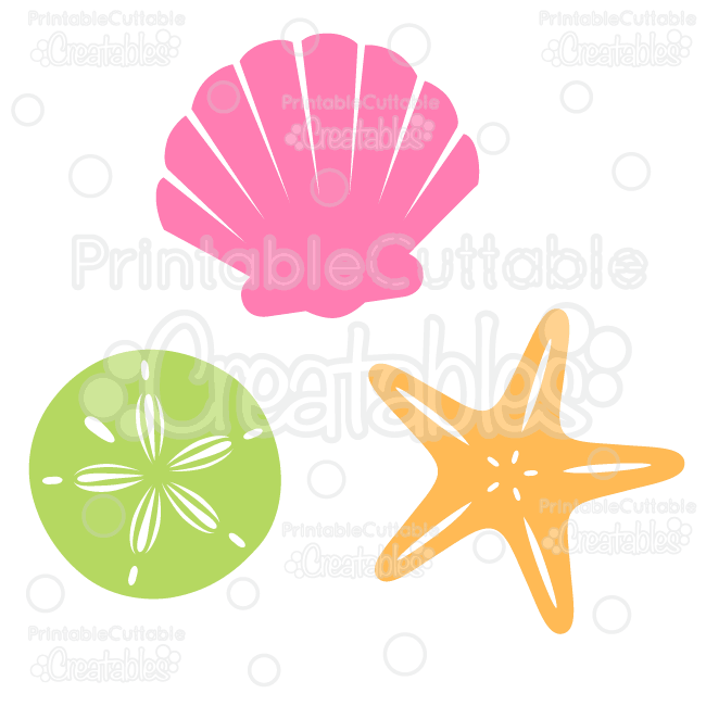650x650 Sea Shells Free Svg Cut File Amp Clipart