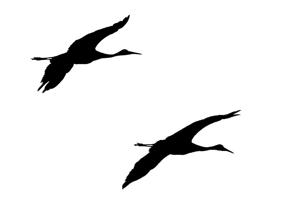 Sandhill Crane Silhouette at GetDrawings | Free download