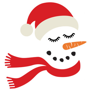 300x300 Silhouette Design Store