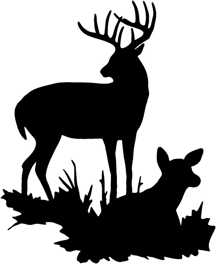 736x899 1749 Best Svg Images On Stencil, Fairy Silhouette